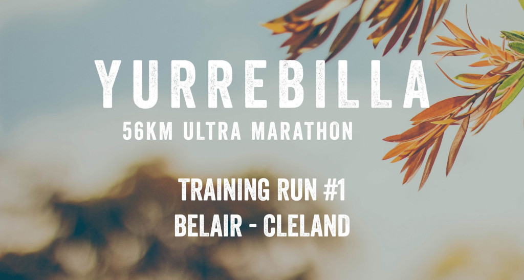 Yurrebilla Trail 56km Ultra Training Run 1 scaled