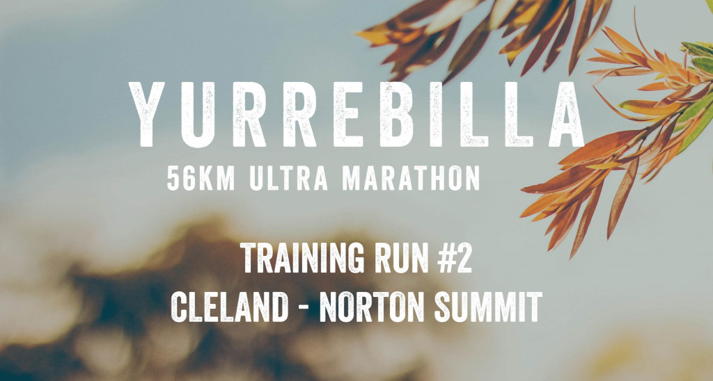 yurrebilla trail 56km ultra Training Run 1 scaled